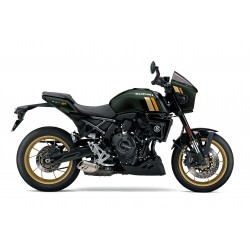 SUZUKI GSX-8TT